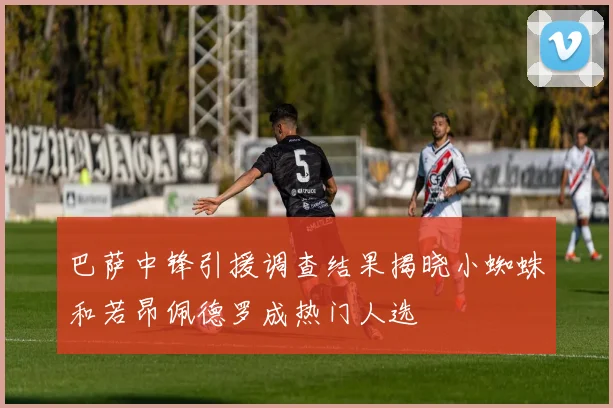 巴萨中锋引援调查结果揭晓小蜘蛛和若昂佩德罗成热门人选
