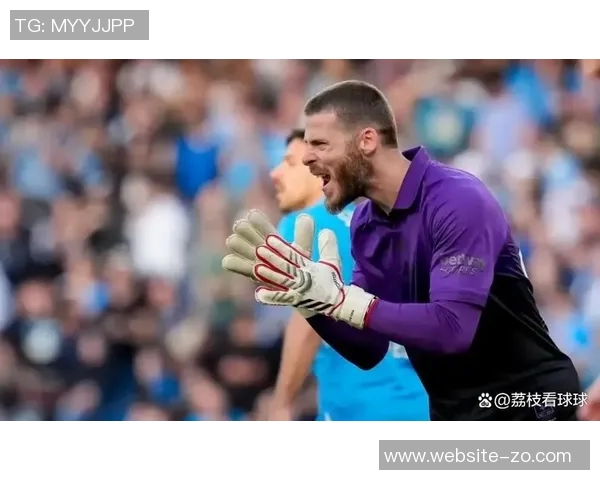 德赫亚加盟紫百合薪资高昂但球队保级前景堪忧未来发展成疑